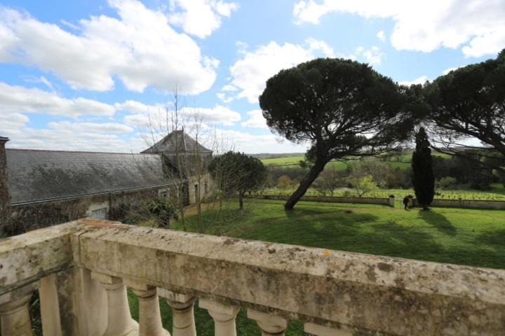 Vignoble Chateau Piegue - Winery Bed & Breakfast Rochefort-sur-Loire Exterior photo